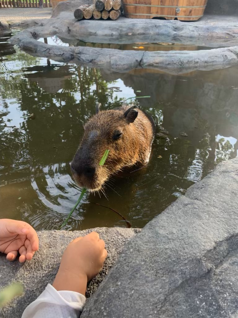 Columbia Global Center Beijing tweet media