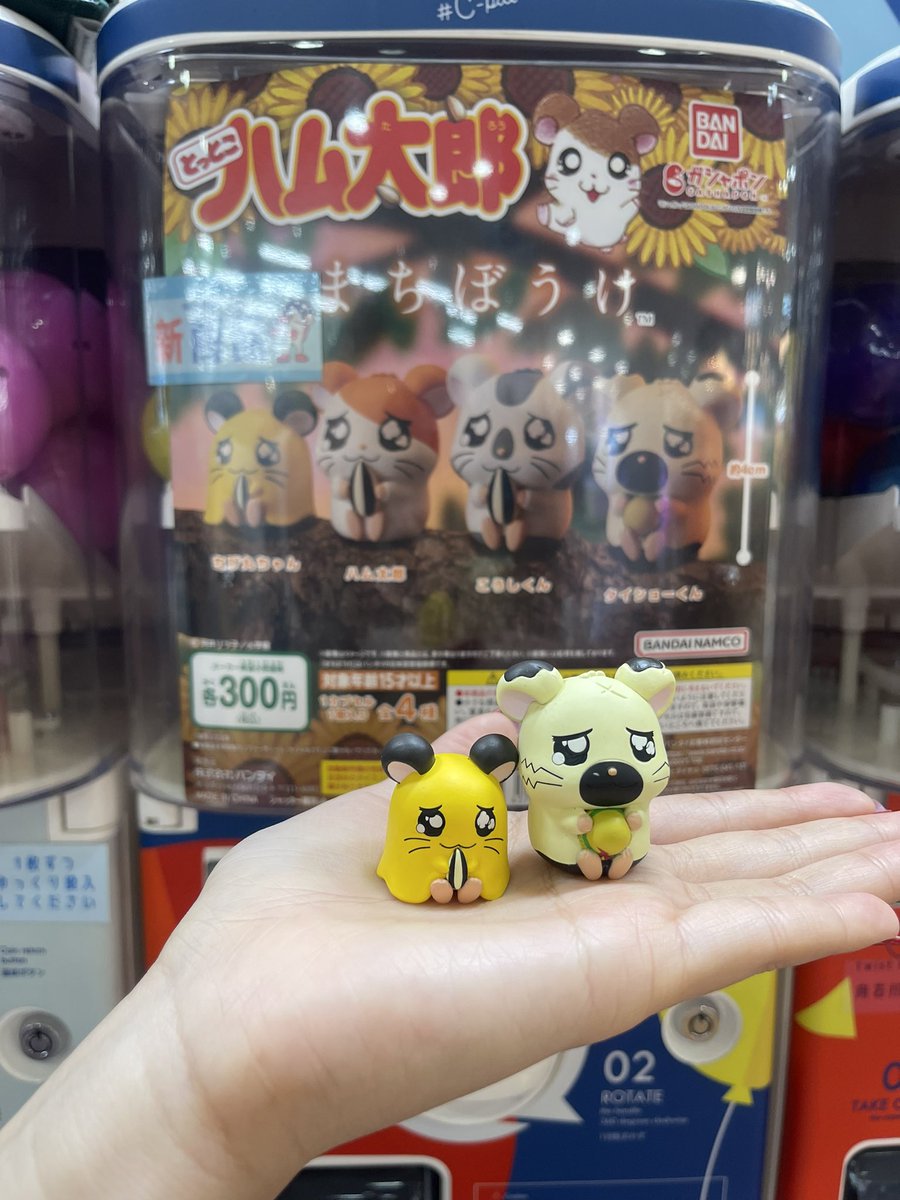 minrayy's tweet photo. จุ่มกาชาปอง Sanrio กันคับบบ💛🩷🩵💚 
120-140 ราคาดีมัก
#ตลาดนัดsanrio #sanrio #ตลาดนัดกาชาปอง #จุ่มsanrio #ตลาดนัดของเล่น https://t.co/jtTXrOndhU