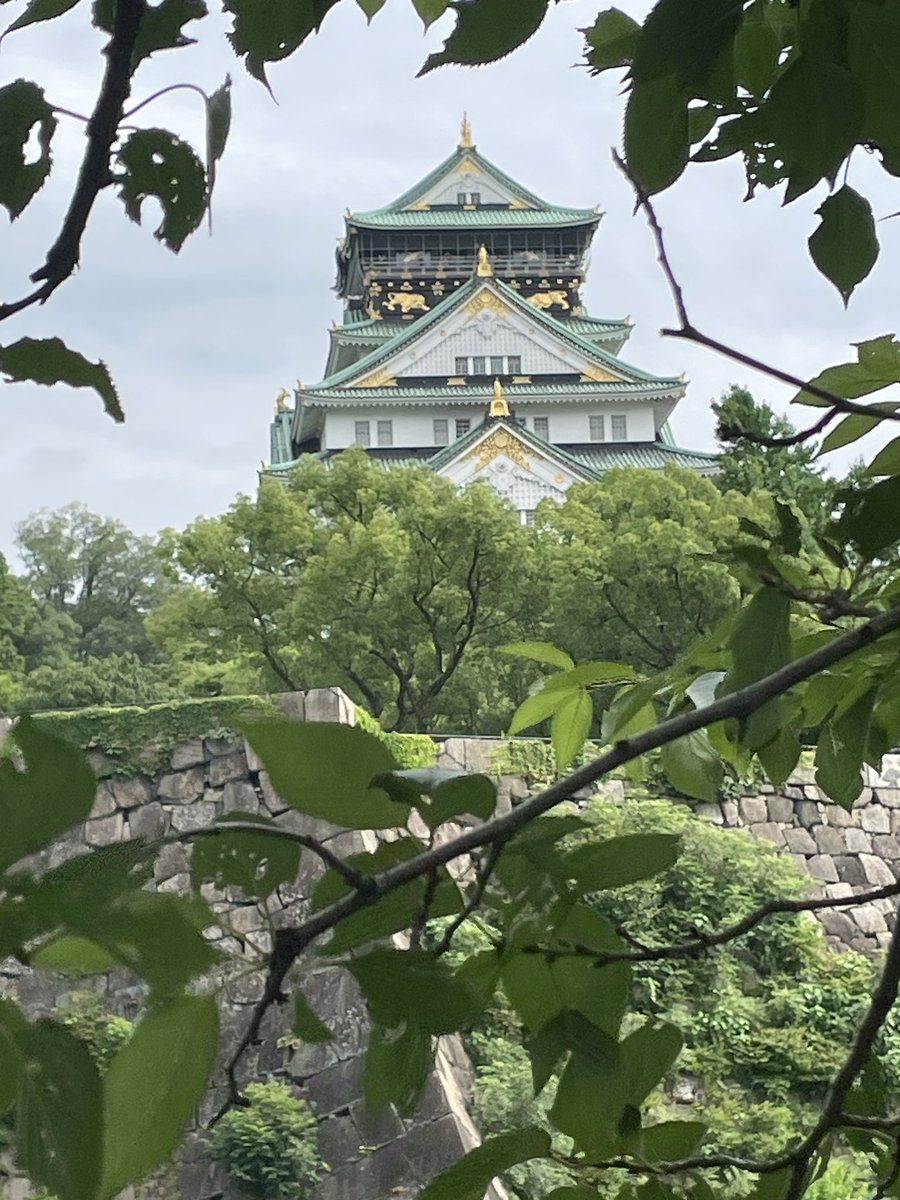 CatherineKU72's tweet photo. I wonder if my parents from tinyville South Dakota understood the impact that 1st trips to Italy & USSR as a teenager would have on future life. They put 2nd mortgage the house & borrowed from family despite their crushing financial difficulties. Grateful & still a #GlobalLearner https://t.co/ShwcQayH8h