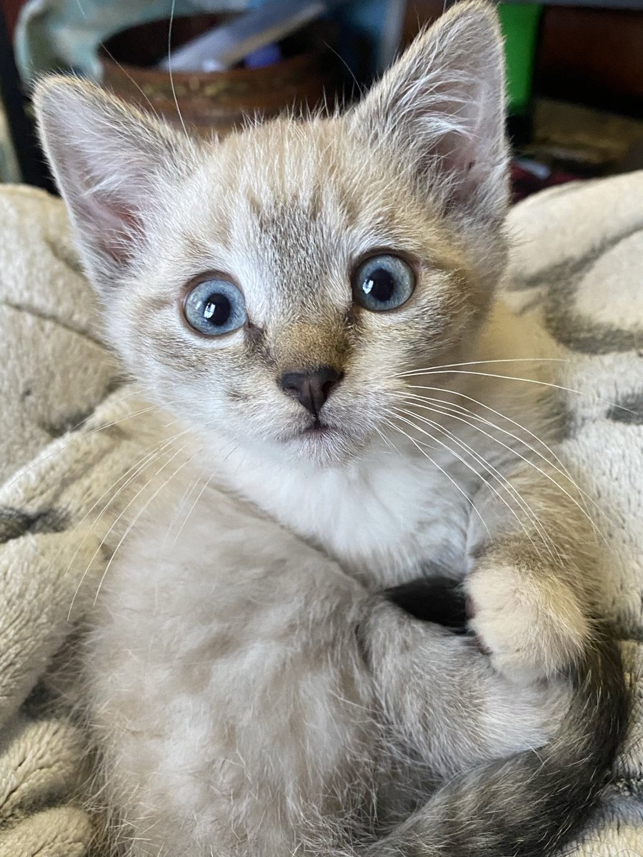 🌎☮️ 🇺🇦🟧Rude Fulk 🟧🇺🇦 ☮️🌎 tweet media