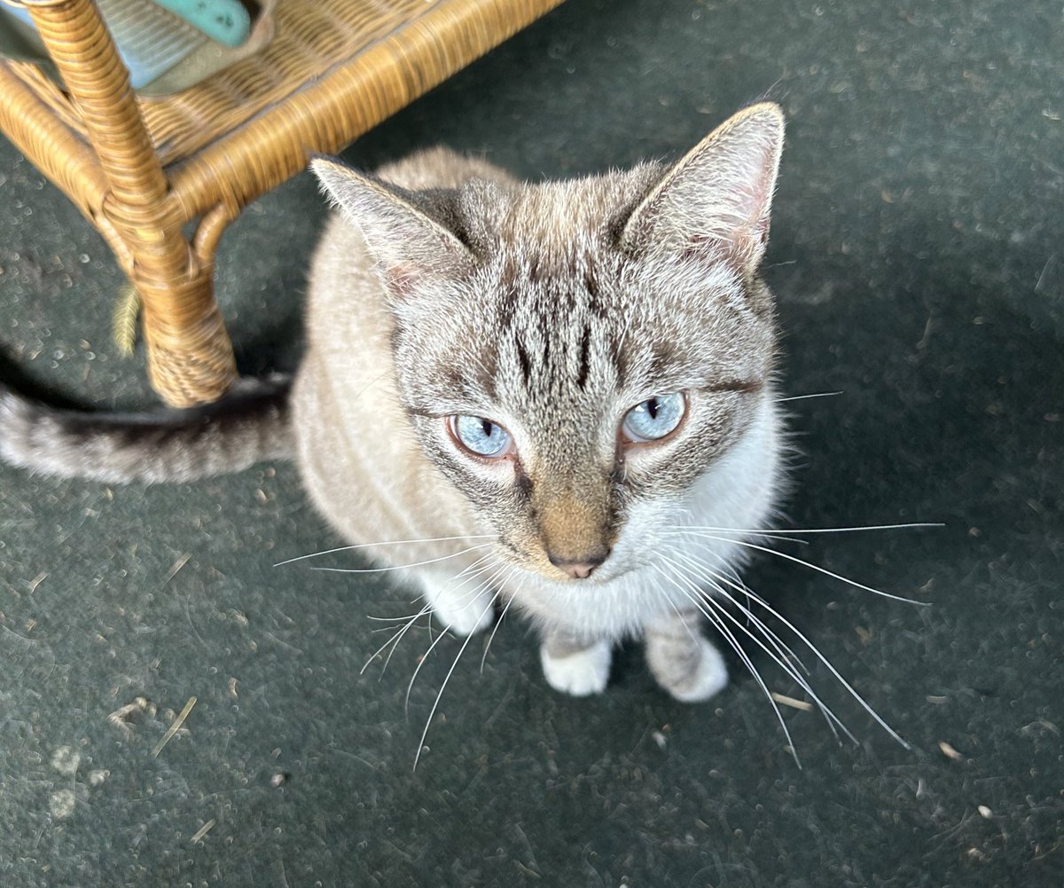 🌎☮️ 🇺🇦🟧Rude Fulk 🟧🇺🇦 ☮️🌎 tweet media