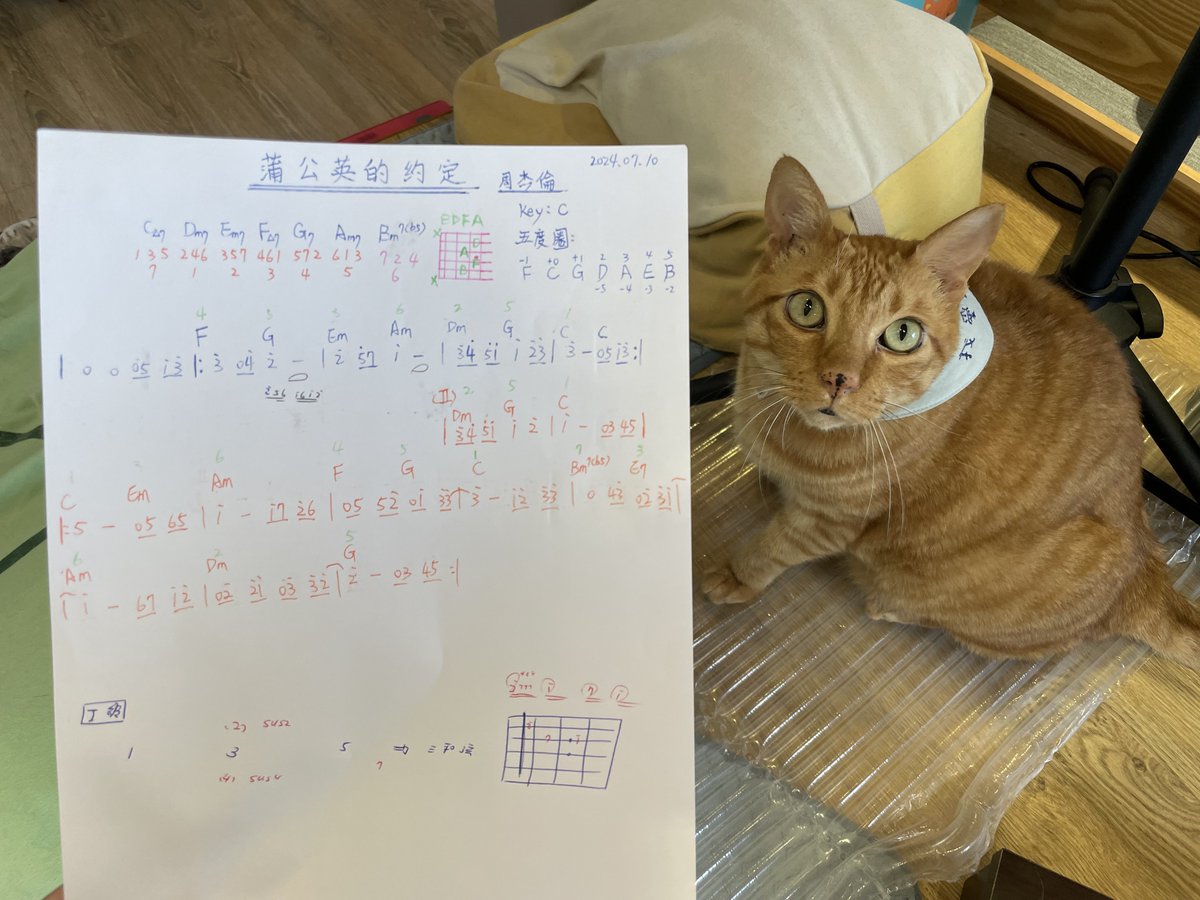 Xtrader_Steven's tweet photo. 2024.07.29 morning and scorching 

[音樂練習]
Key: C Major

Progression 
A: 4-5-3-6-2-5-1
B: 1-3-6-4-5-1-7-3-6-2-5

Backing track: https://t.co/KKeCVBhg6M

Audio Device : YAMAHA THR 30II

Tone: CLASSI-CRUNCH-FLANGER-ECHO/REV

#CMajor
#音樂素養練習 
#一起長大的約定
#蒲公英的約定 
#吉他演奏曲練習
#感謝効廷老師指導
#每天都是好棒的一天_會有好事發生在你我身邊
#Every_day_is_a_fantastic_day 

[C Major Practice] 2024.07.29 one take 演奏曲練習-一起長大的約定 by Steven https://t.co/mkSiqzLdeZ 來自 @YouTube
