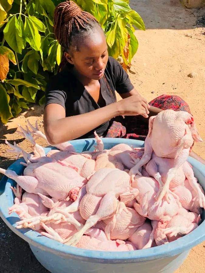 diharagirimana's tweet photo. Good morning dear broiler chicken lovers 
How do you start a New week at your place 

Wish you blessed New Week 🙏 🍀 
#NewWeek #FarmField https://t.co/EnAfmTFFIc