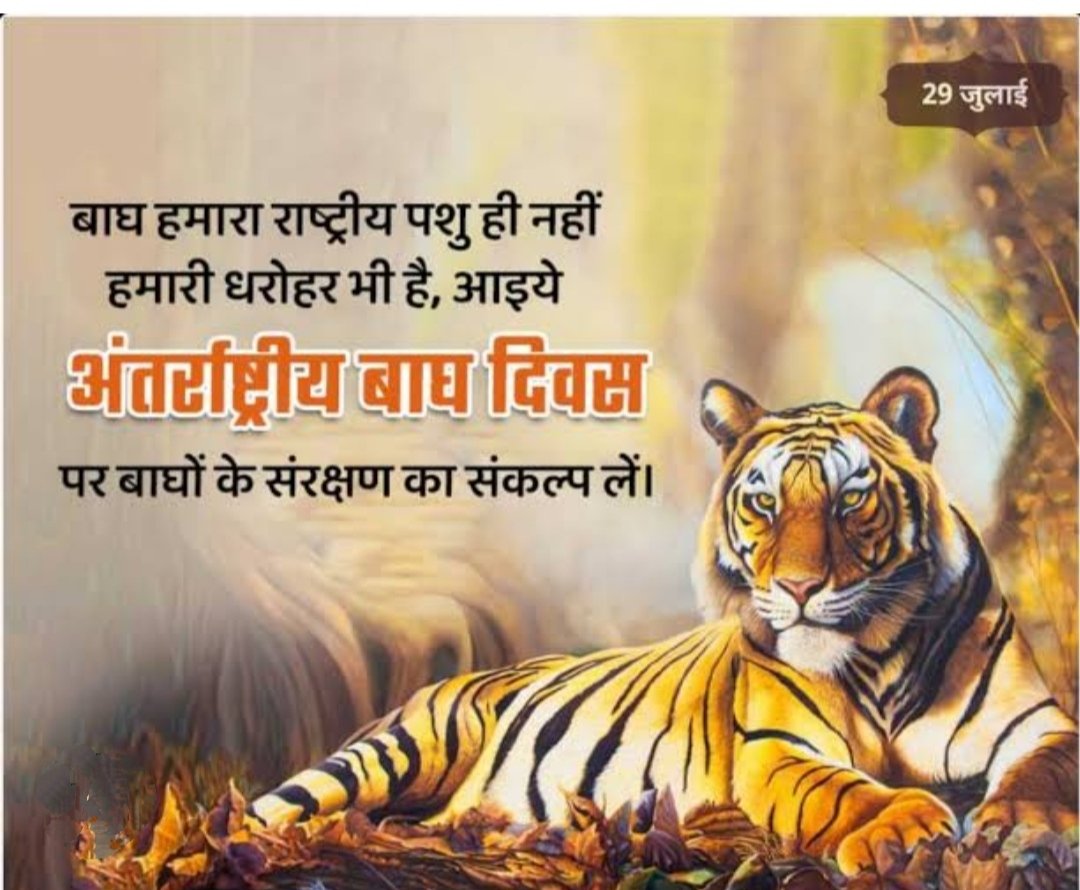 #InternationalTigerDay