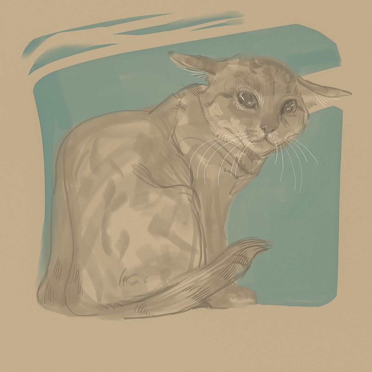 kitten sketch)

#artmoots #arttwt #digitalart