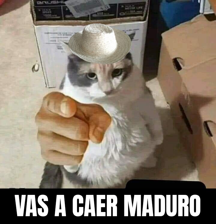 ElMasaru's tweet photo. @SoloSoyCubo https://t.co/ko9TmX7RiW