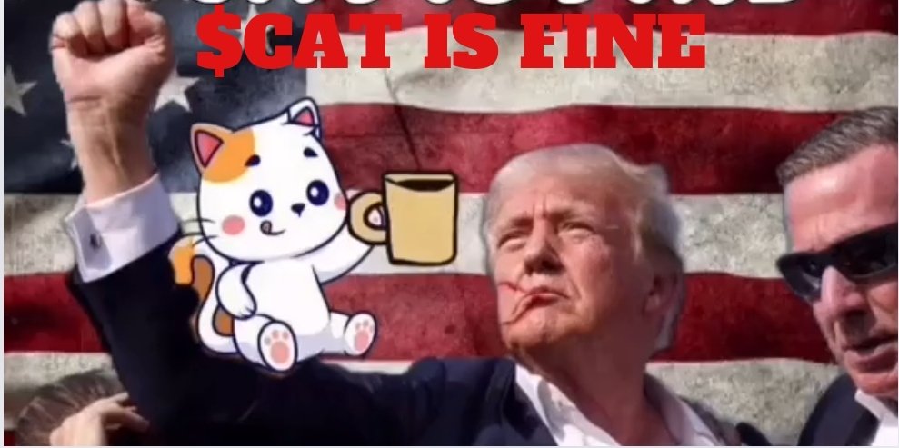 TOBASKI_ON_SOL's tweet photo. There is a killer #CTOTeam running $Finecat! https://t.co/SHI9EnnnAJ
Ca H6hrjnmxkTzQBvE3RdJgKFQVAvwXyskPdm7vhquLf8ty https://t.co/U8W7SAXaGL