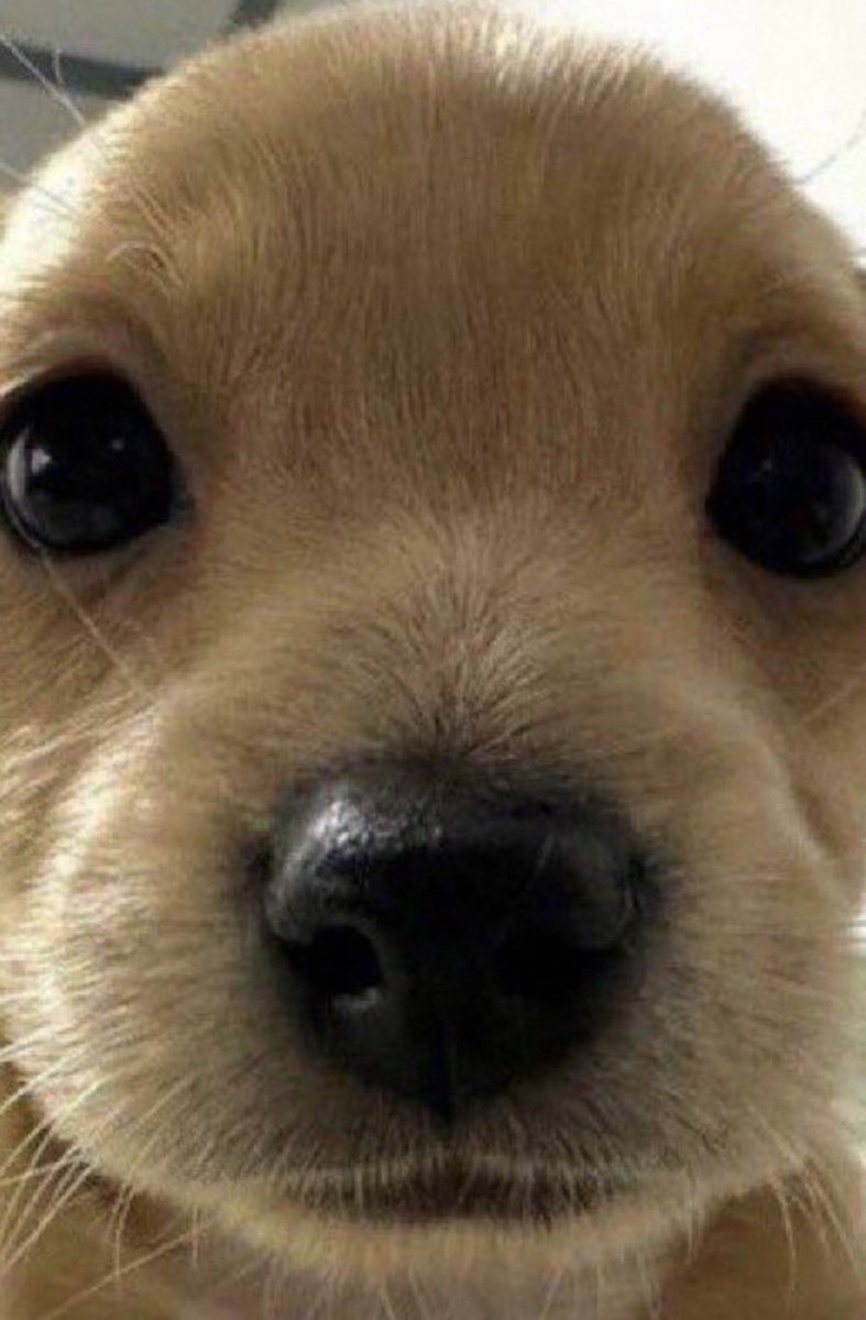 Erik Stevens 🐆 tweet media