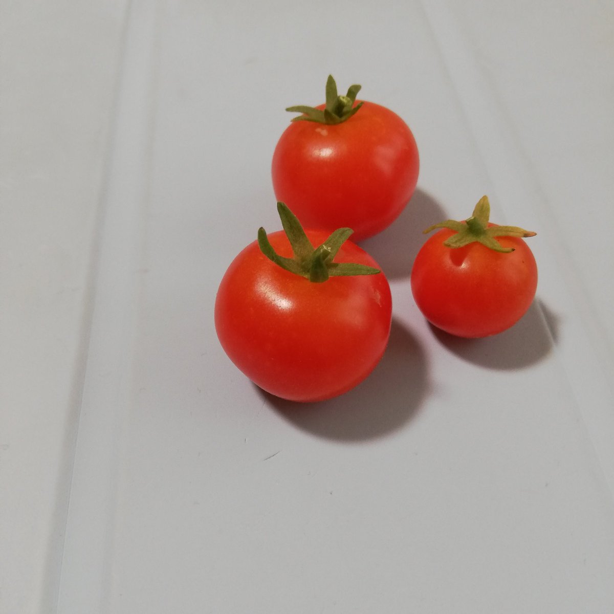 生協で買ったプチトマトの種から育てるセットが収穫できた

土と種と鉢込で700円くらいしたから、種を取って来年も植えよ🍅