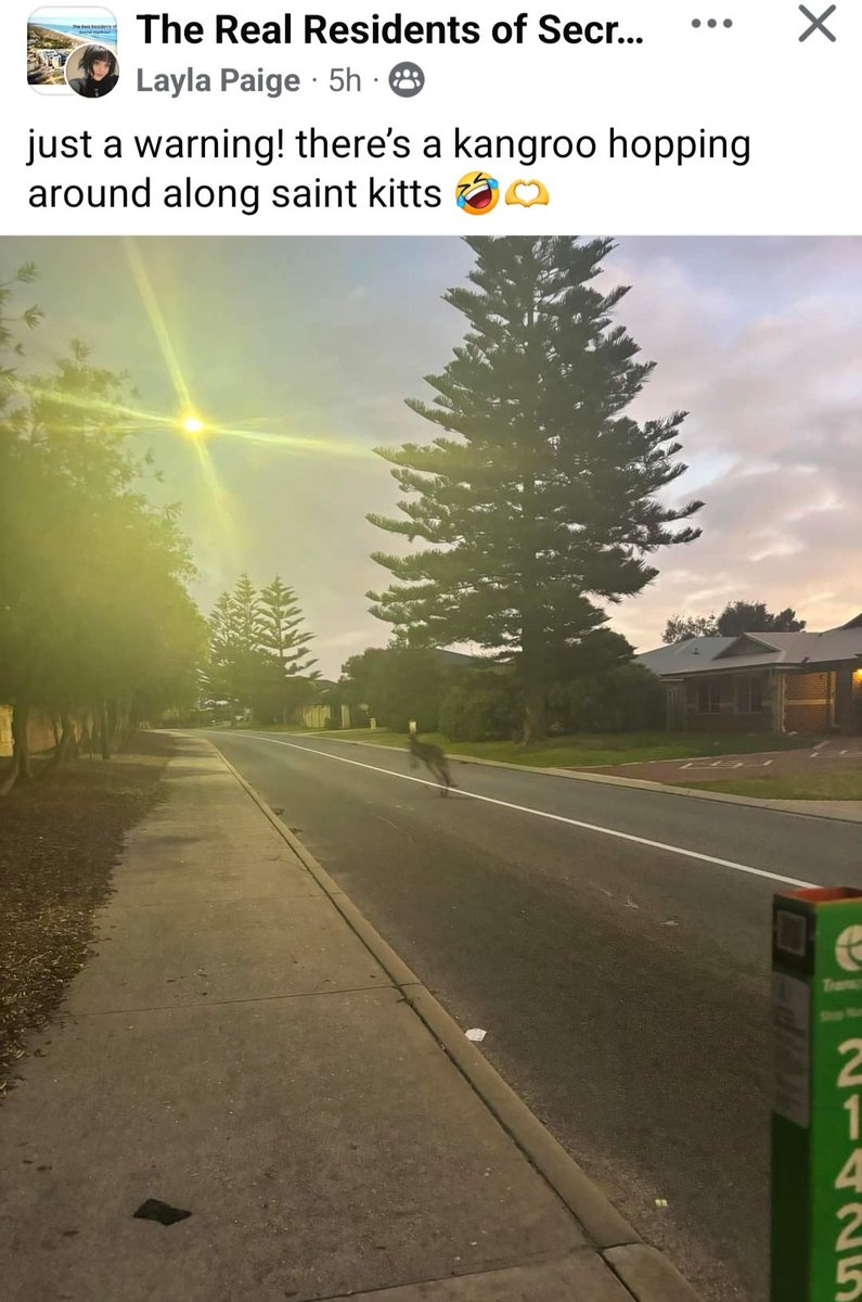 neilaPerth's tweet image. My suburb Facebook page... Only here in Oz. 🙂 #perthlife