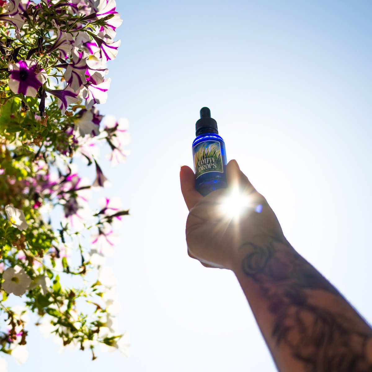 Coiffe Drops just hit 100 followers! Thank you OGs!

🎉 RT this message to enter a draw for a free 1oz bottle of Coiffe Drops 🌿💧 Great for strengthening and moisturizing your hair and follicles , fixing dry scalp, fighting dandruff, and smells good too. #magichairstuff