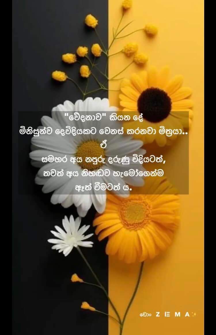 රන්දිණී ඩිංගිරි බණ්ඩාර බස්නායක 🖤 (@wdb_randinie) on Twitter photo 