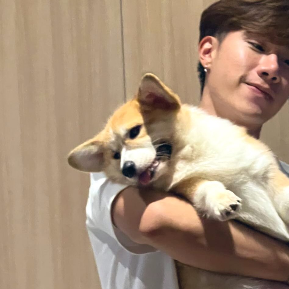 salmon_mewsu's tweet image. เมื่อก่อนตุลย์อุ้มแบบยกลอยทั้งตัวแค่2มือ ตัดมาที่ตอนนี้ ต้องเอาแขนรัดทั้งตัวและยกขึ้น (ถ้าให้ยกแบบรูปแรกคิดว่าข้อมือตุลย์น่าจะหัก อย่าเลย) (ห)มูชูลูกเอ้ยยยย น่ารักวุ้ยยยย🐶🤏🏼 #mushu #มูชู #MewTul #มิวตุลย์ @MSuppasit @octotul #MewSuppasit #Tul_Pakorn