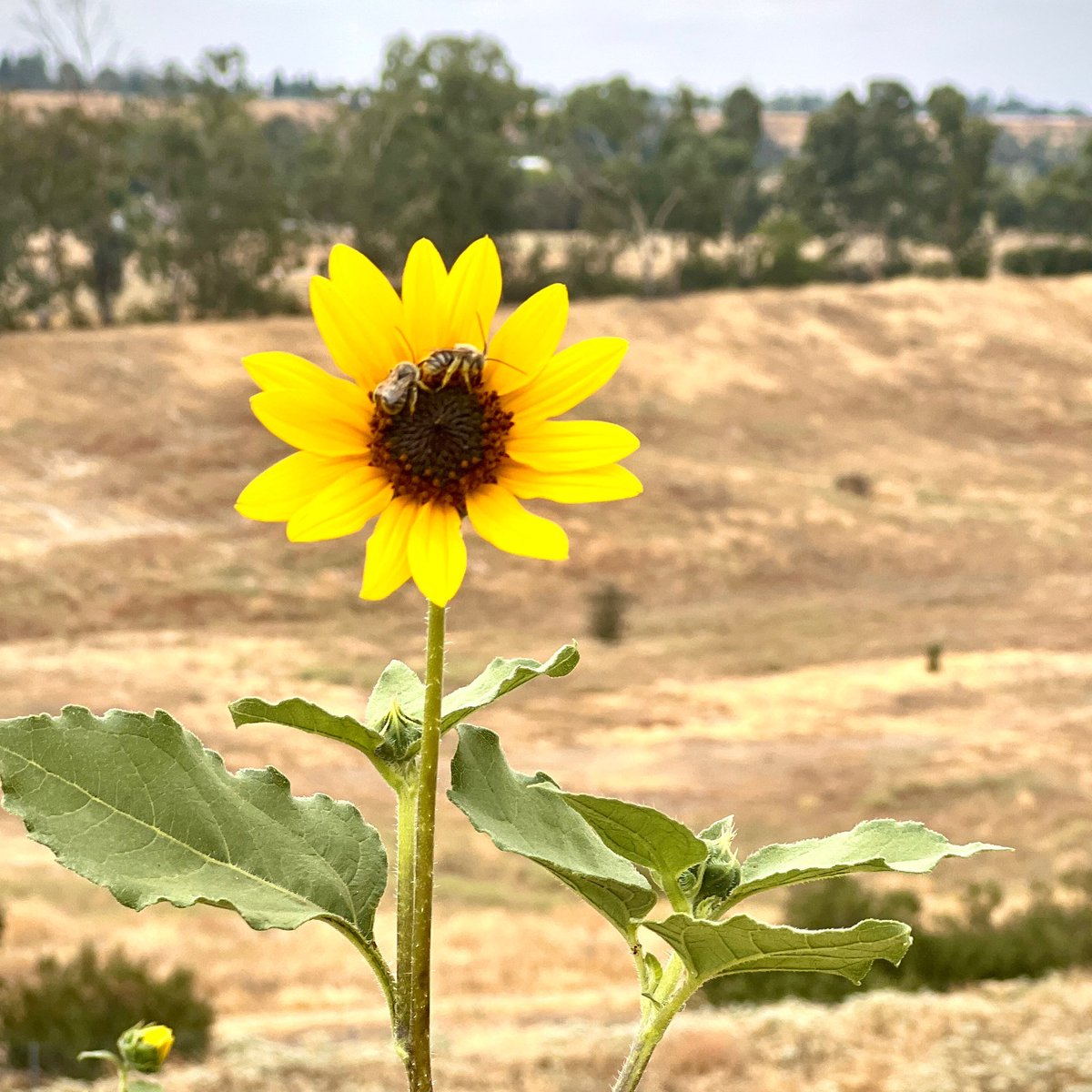UCSFFresno's tweet photo. ❤️ https://t.co/k7rihZpWLj