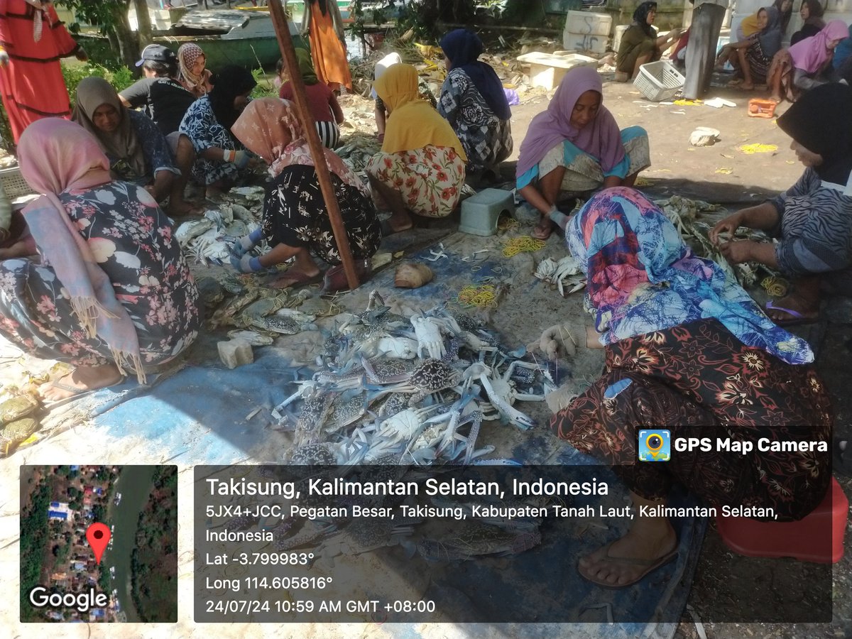 lasriyantoplh's tweet photo. Rabu(24/07/2024) Lasriyanto,S.Pi
Pendampingan di KUB Kuda Laut, Di Desa Pagatan Besar, Kec. Takisung , Panin Kepiting Rajungan Tangkapan Nelayan  2500kg, dengan Harga Rp 34000/Kg #GiatLuhkanSatminkalBwi #TnhLaut #Panen
@bppp_banyuwangi 
@puslatluhkp
@Luhlapor
@TuguDian https://t.co/eZE1rskCRF