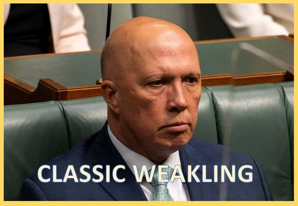 utalkntme's tweet photo. @PeterDutton_MP Says the guy who is too weak to sack his resident rw extremist nut bag deputy Barnaby Joyce.
#PaladinPete is unfit to lead this country.
#CompletelyUseless
#auspol https://t.co/KeFLbTdWfF