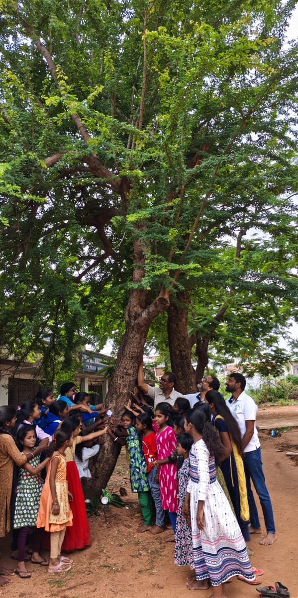 PVadije's tweet photo. 🌳 On #NatureConservationDay , schoolchildren in Telangana tied rakhees to a beloved tree at Government Girls’s High School in Nagarkurnool,mentored by teacher Gudibanda Yashoda Reddy.

https://t.co/S5PYFHfui3

@vata_foundation @TSEduDept https://t.co/1Hp3QO2iJw