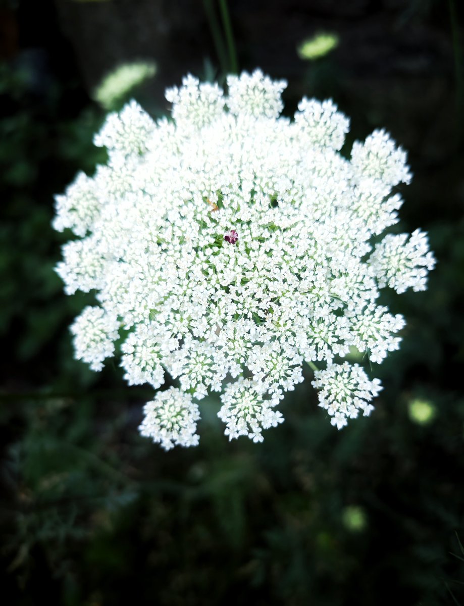 Richard Mortimer tweet media