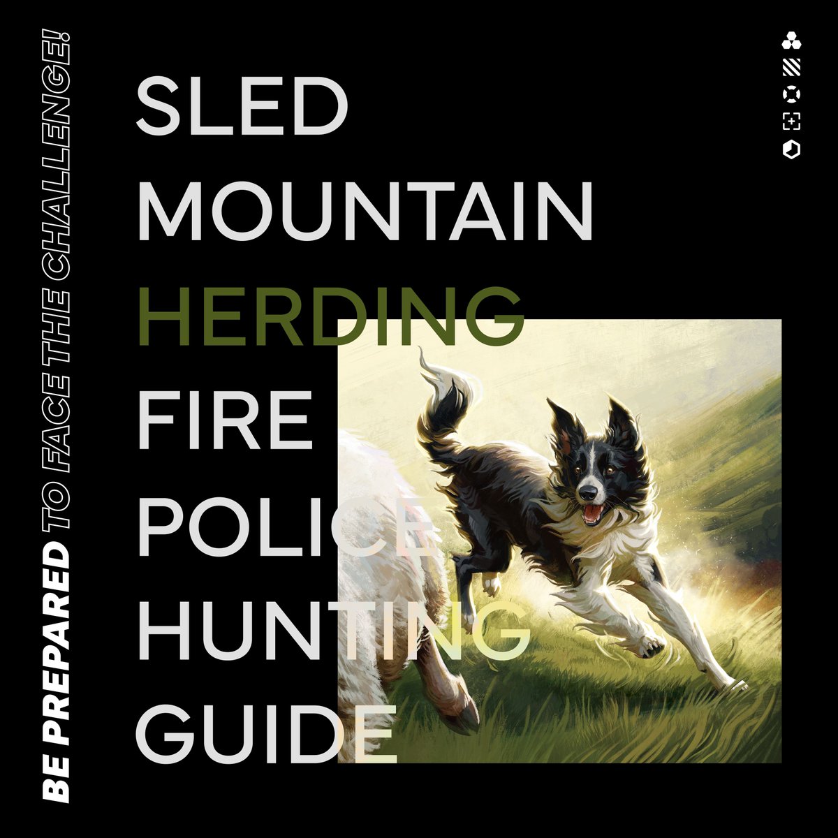Border Collies are known as some of the smartest dogs around! One Border Collie even holds a Guiness World Record!  It's for the most slam dunks made by a dog in a minute! Leonard Lee made 22 slam dunks to secure his record! Way to dunk on the competition! 🐾🏀