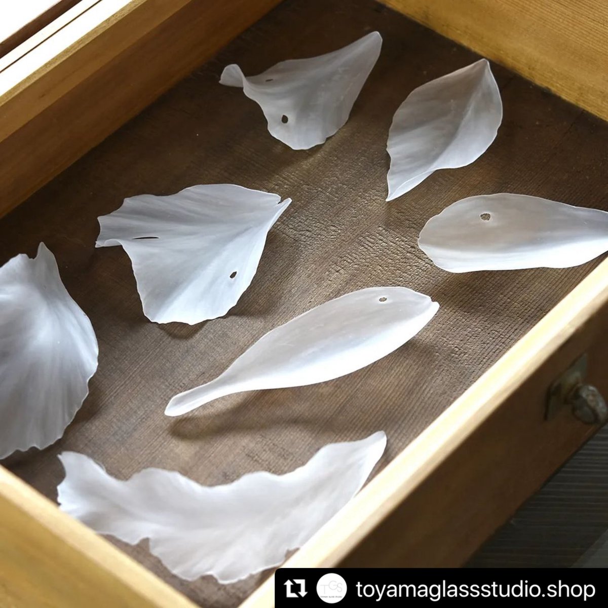 【小曽川瑠那】ガラスの花「やわらかな陽の中で」希少　⭐︎価格交渉ＯＫ⭐︎ 小曽川瑠那 Runa KOSOGAWA (@RKosogawa) / Posts / X