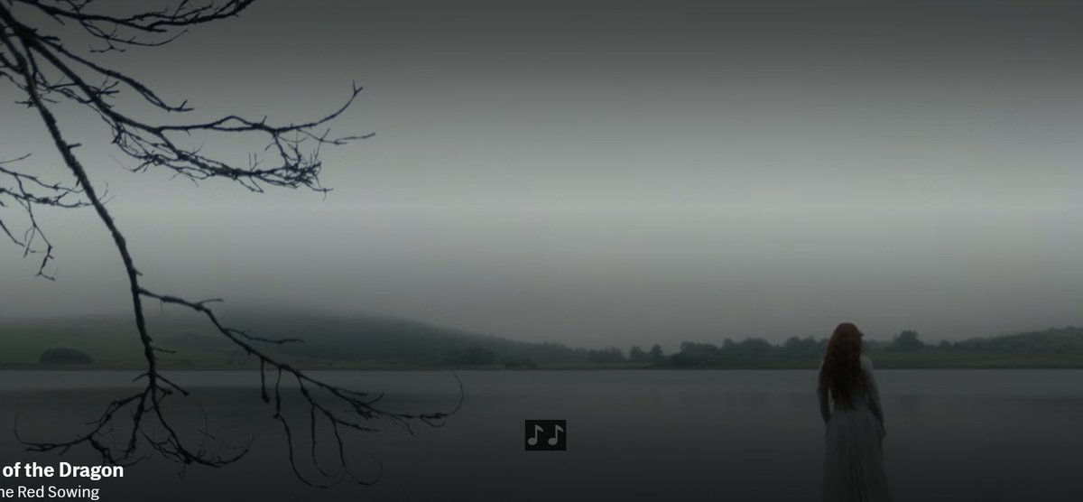 Abigail Henkin tweet media