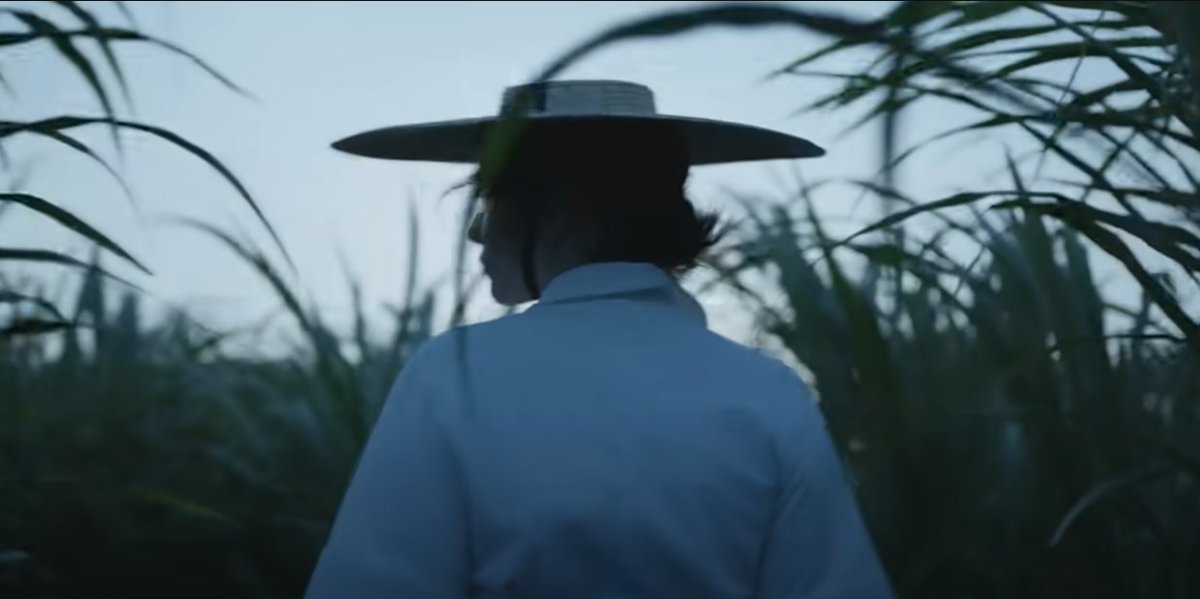 Abigail Henkin tweet media