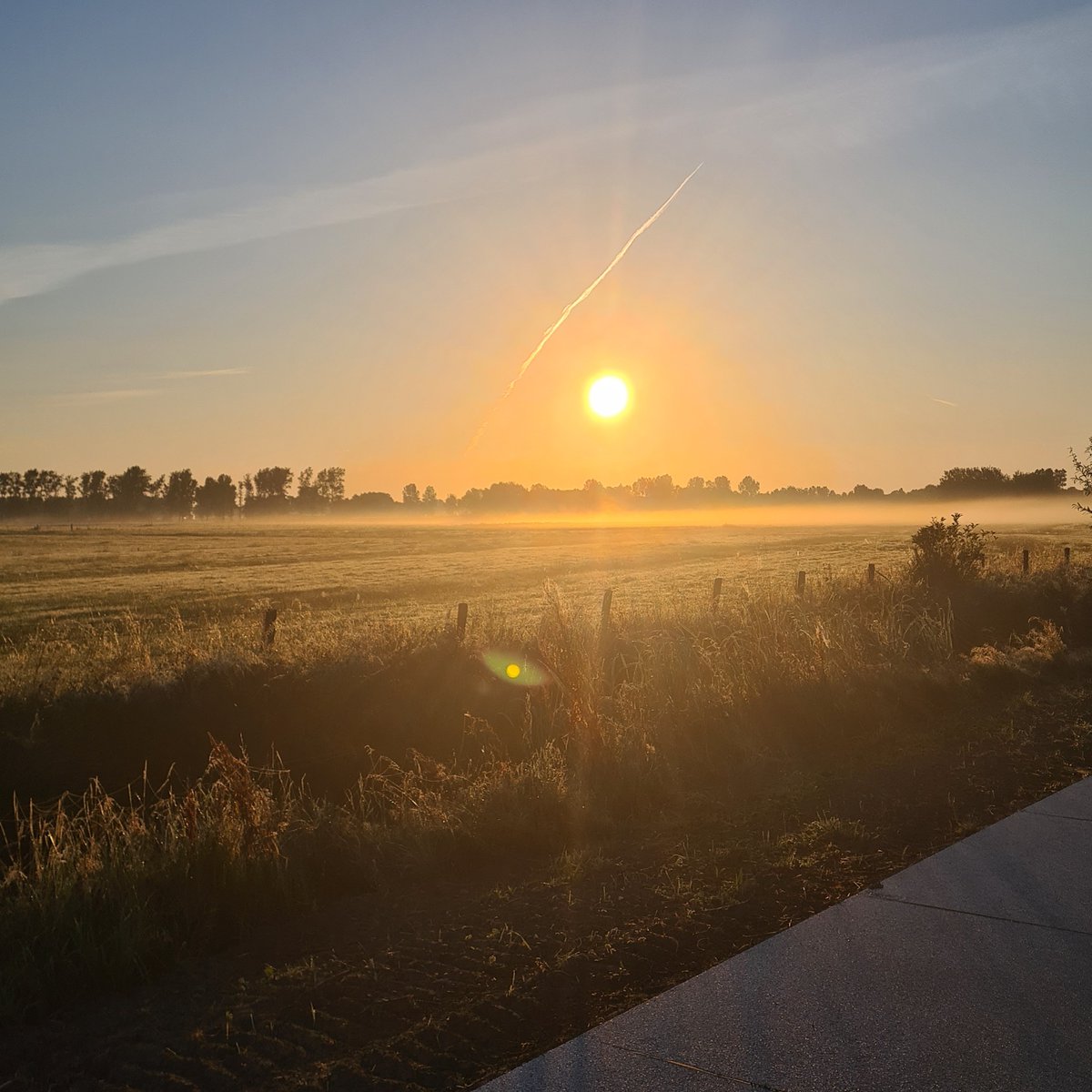 Elsjelsje's tweet photo. Goede morgen beste @loopmaatjes . Het was een heerlijke vroege ronde! Speciaal voor de mensen uit #Bergen: zoek je je paard? Die loopt lekker te grazen langs het nét geopende Sluispolderpad. #fpub https://t.co/nS4Hj1PA1c