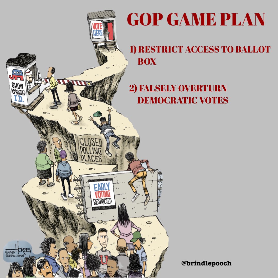 DixieT13's tweet image. Democracy Docket ROCKS!! 
#RepublicansHateDemocracy