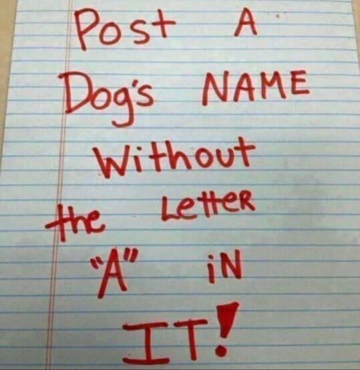 𝐌𝐚𝐭𝐭 𝐏𝐢𝐧𝐧𝐞𝐫 tweet media