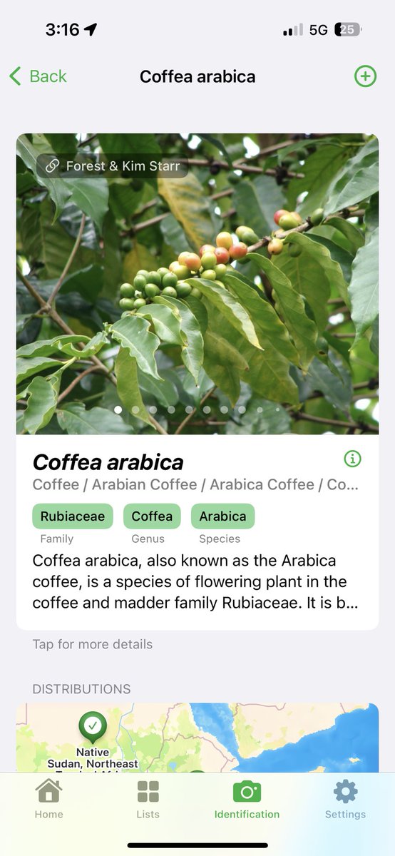 getflora's tweet photo. Identifications has been refreshed. It’s lot simpler to take photos to identify your plants https://t.co/1beRx0Eb0E