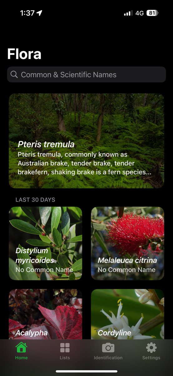 getflora's tweet photo. The coolest looking part is that we now use grids to display our plants which we think looks much cooler 🍃 https://t.co/o9ZeNi1l0V