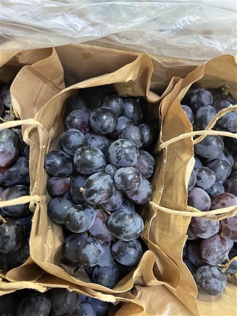 David Brown tweet media