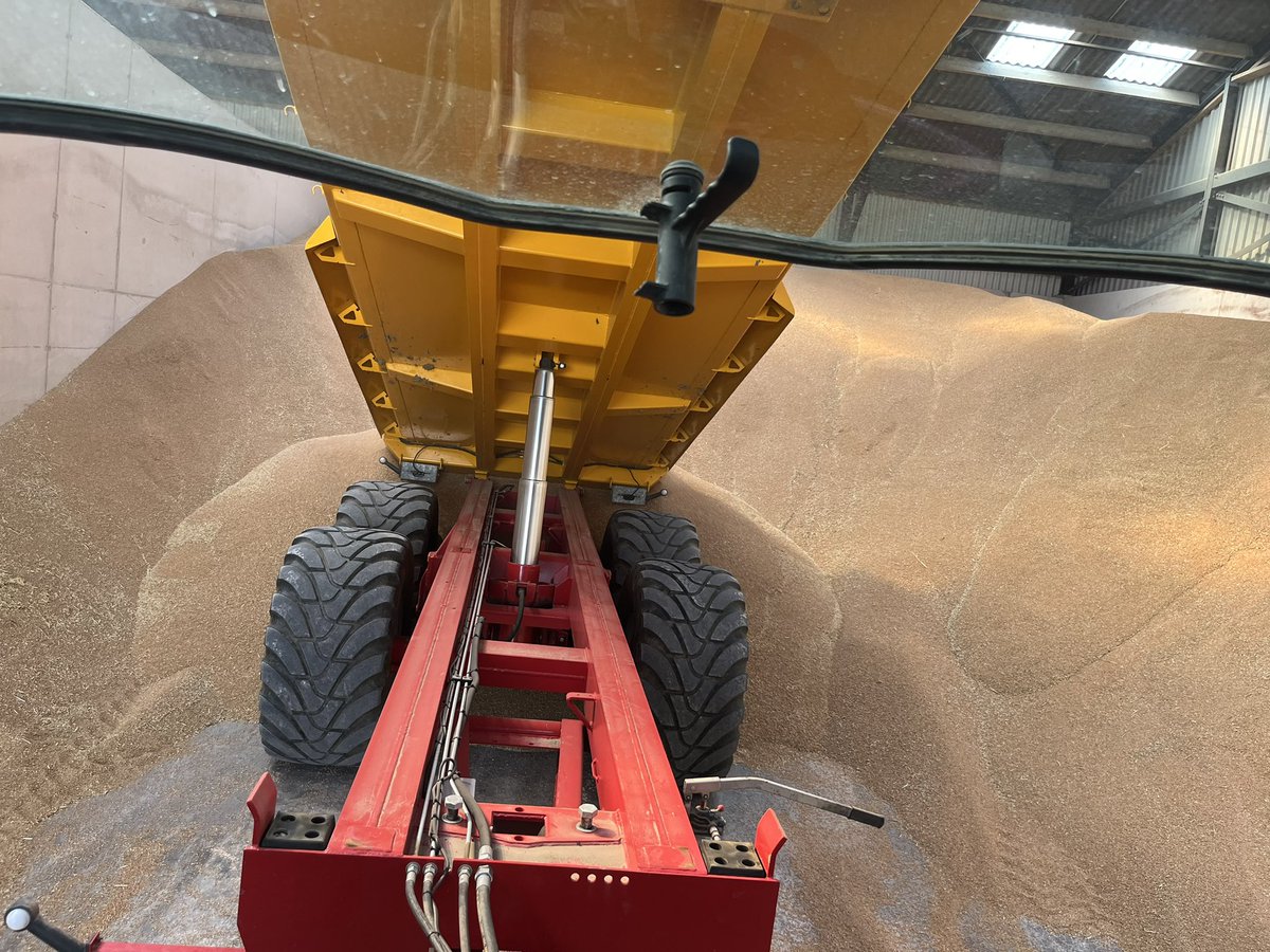 kees vermue tweet media