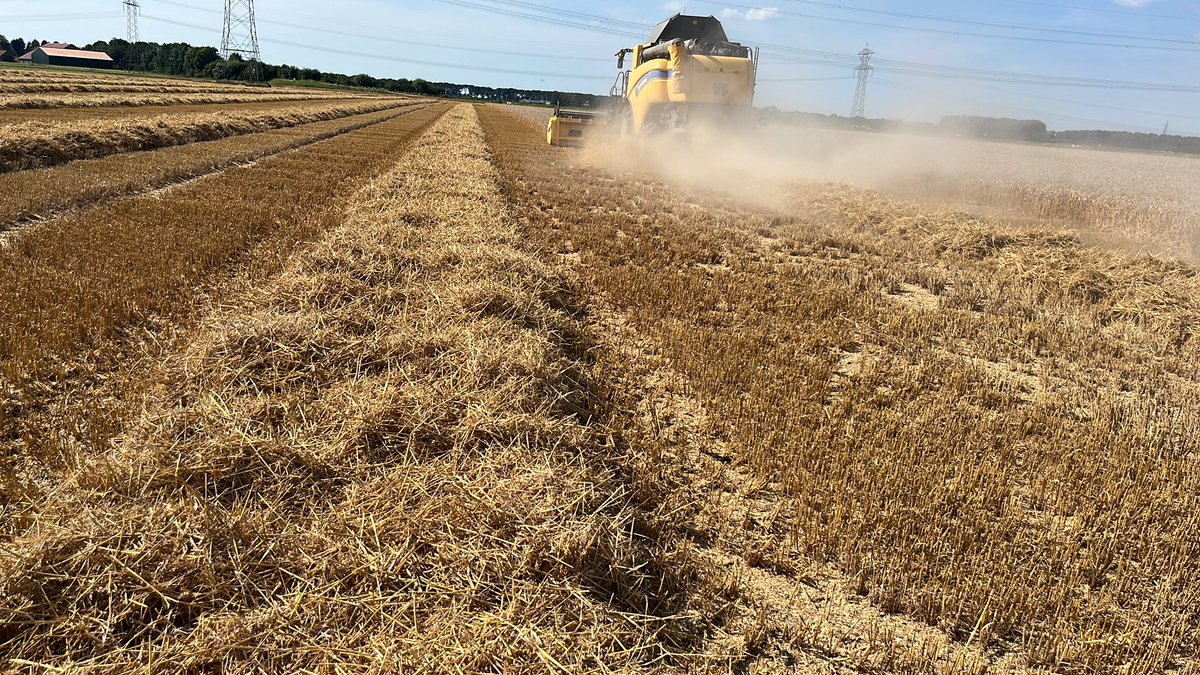 kees vermue tweet media