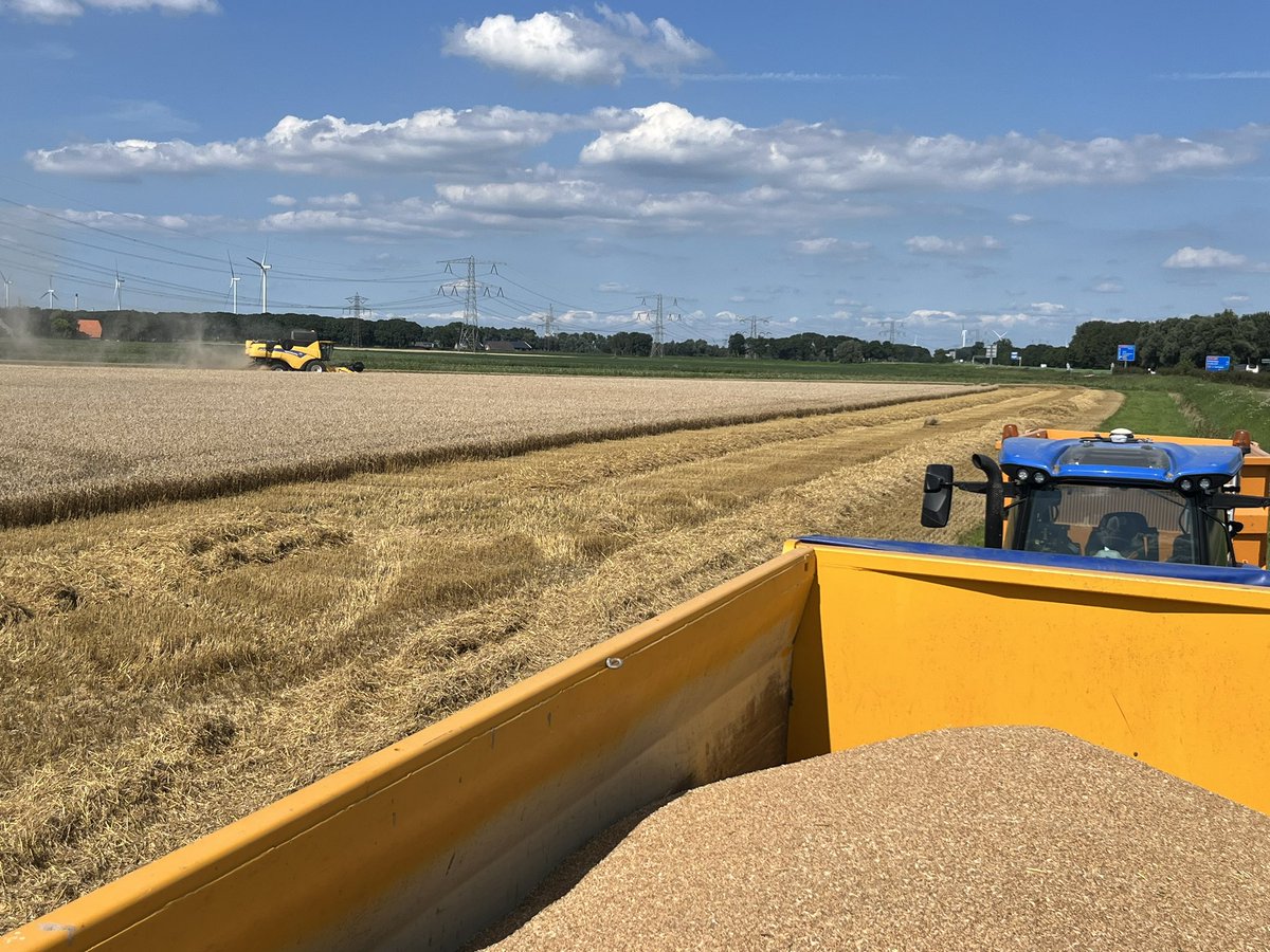 kees vermue tweet media