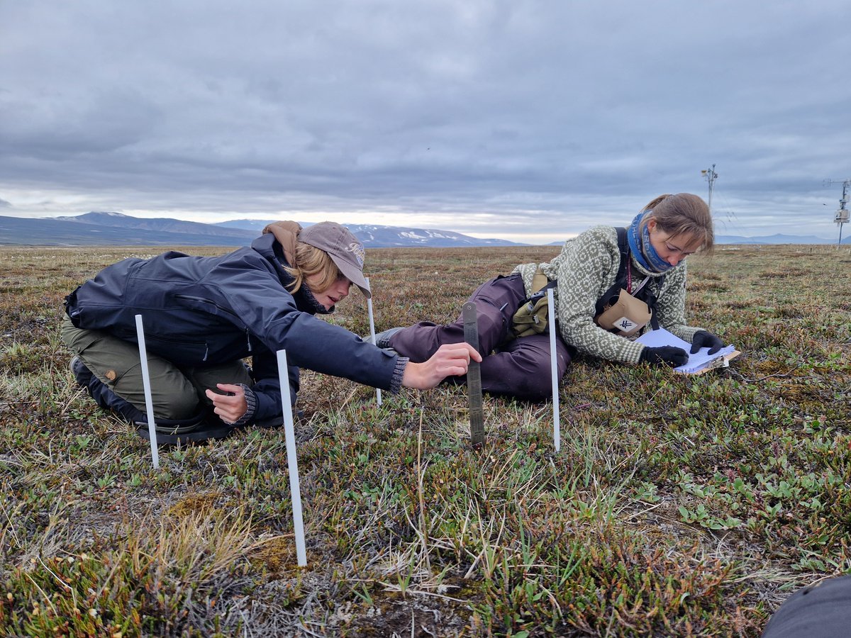 ZERO74N's tweet photo. Working at the #ICOS stations in Zackenberg involves more than just beautiful scenery. Spending hours on your knees, meticulously measuring moss net primary production, aboveground biomass, and green area index - while mosquitoes buzz around you.  #Class2station #monitoring https://t.co/AIyCgiSuY4