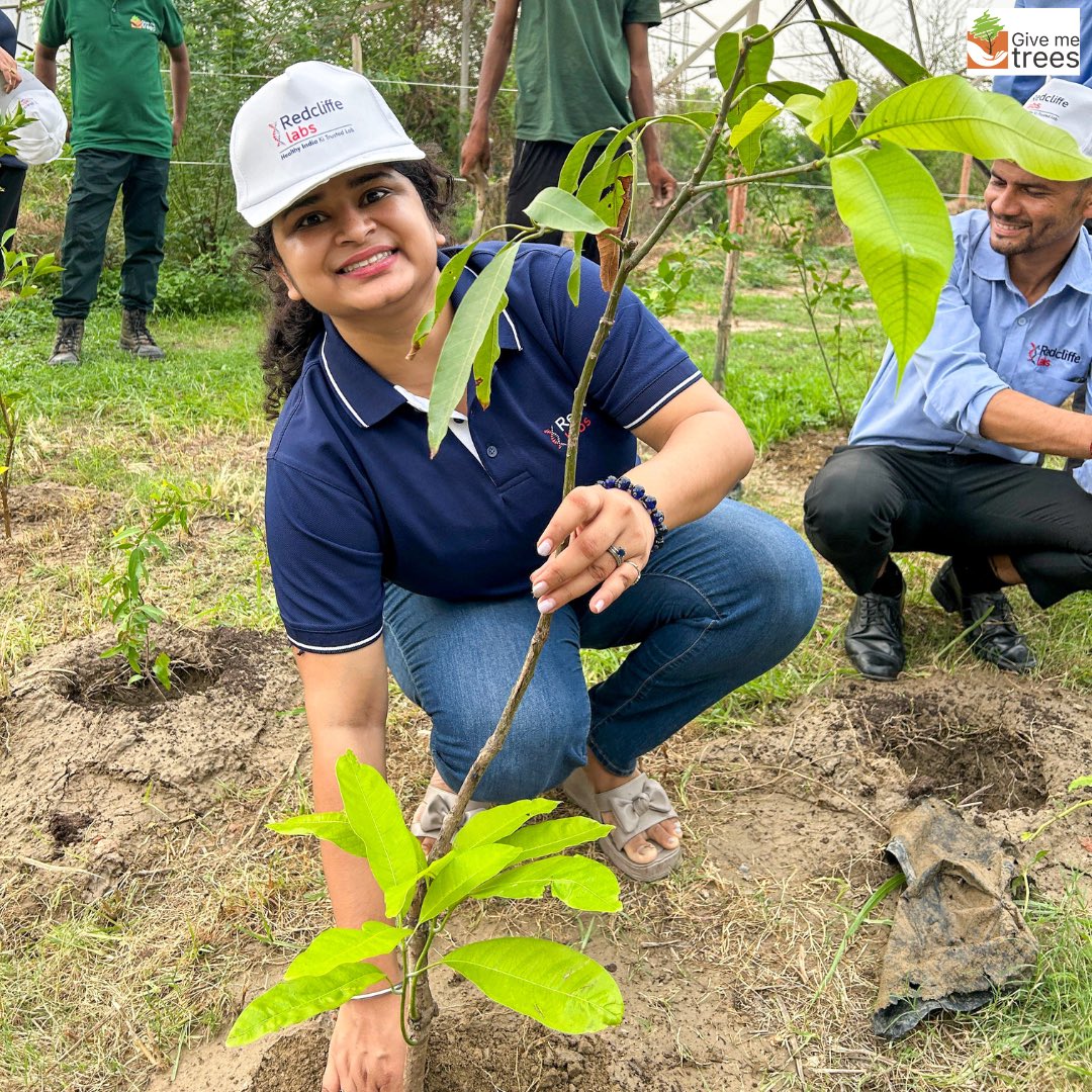 Give Me Trees Trust tweet media