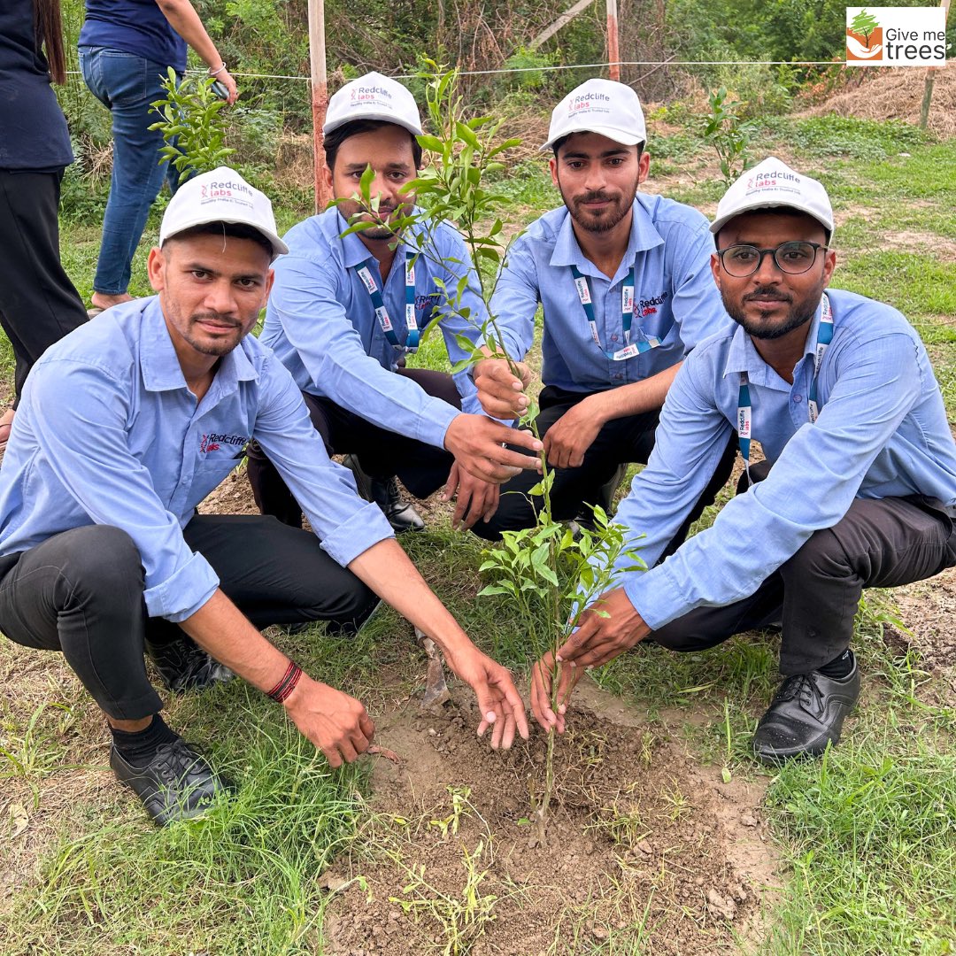 Give Me Trees Trust tweet media