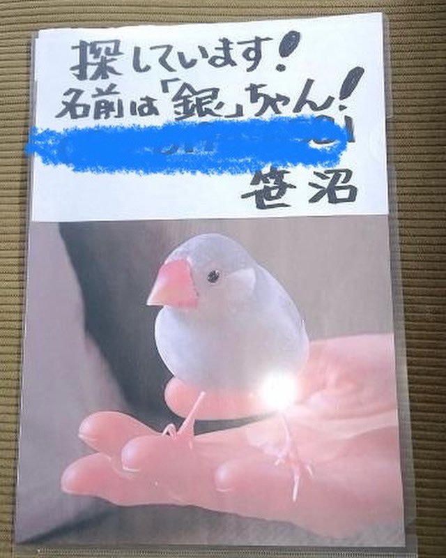 DokenPet's tweet photo. 東京目黒区より

迷子になりました

心当たりの方は

DokenPet までご連絡下さい

よろしくお願いいたします https://t.co/LuF8GuutJY