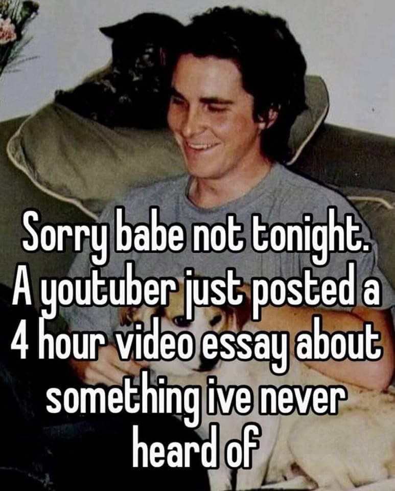 hourly_shitpost's tweet photo. ㅤ https://t.co/OOrHqSsDv3