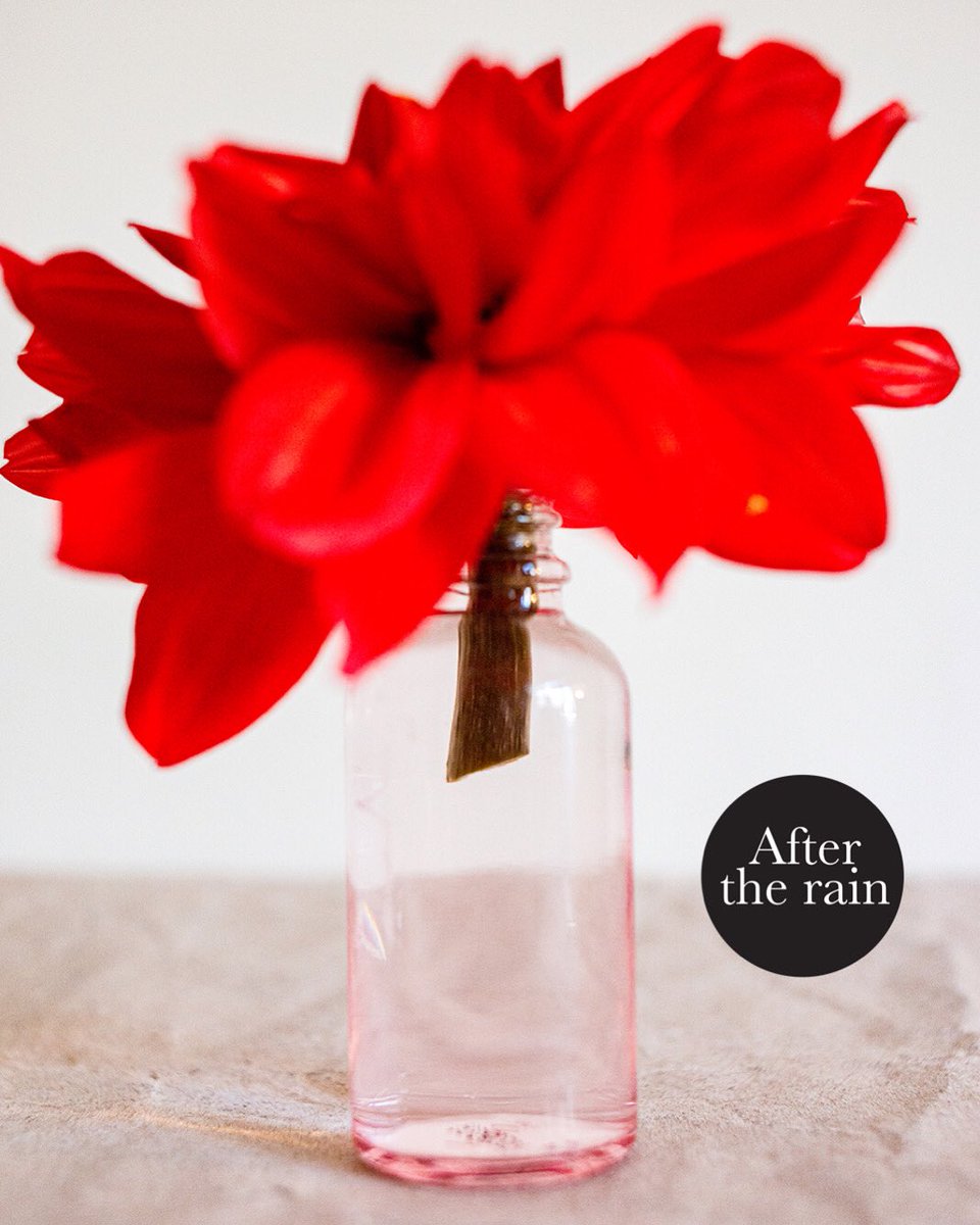 afterthisrain's tweet photo. Empty and full simultaneously. Red dahlia in Boots beauty serum bottle.

Homegrown Series: London is currently showcased at Hiru Cafe, Lumut Pangkor Ferry Jetty between 26 July - 2 August 2024.

Please enjoy Hiru’s specialty coffee and art by the calming seaside.

#mindfulness https://t.co/PP1CEXXNJE
