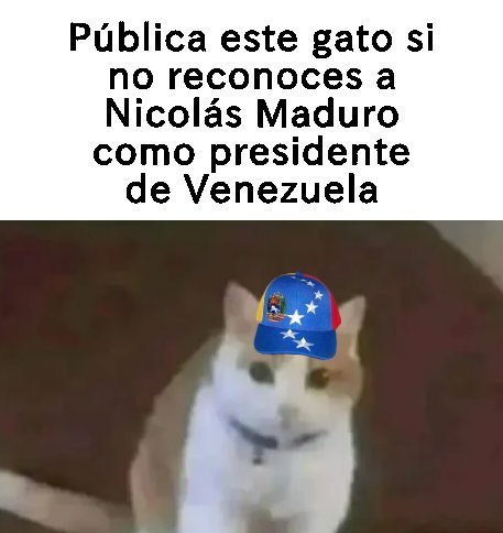 LIENDoooo's tweet image. 