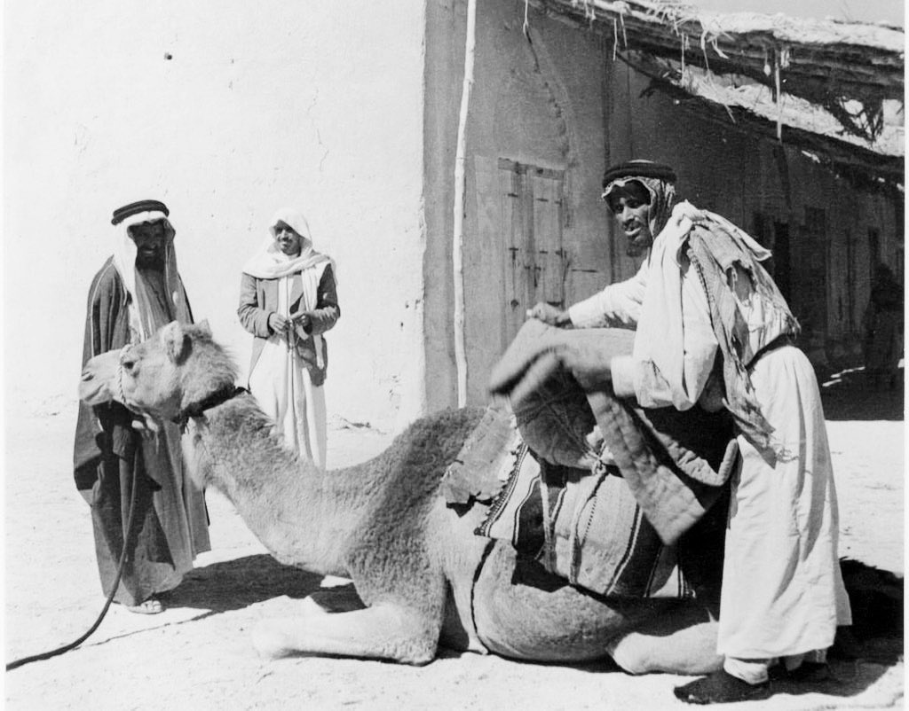 لاتزرع المعروف فى غير قاعه 
الطيب فى بعض الرجاجيل ضايع