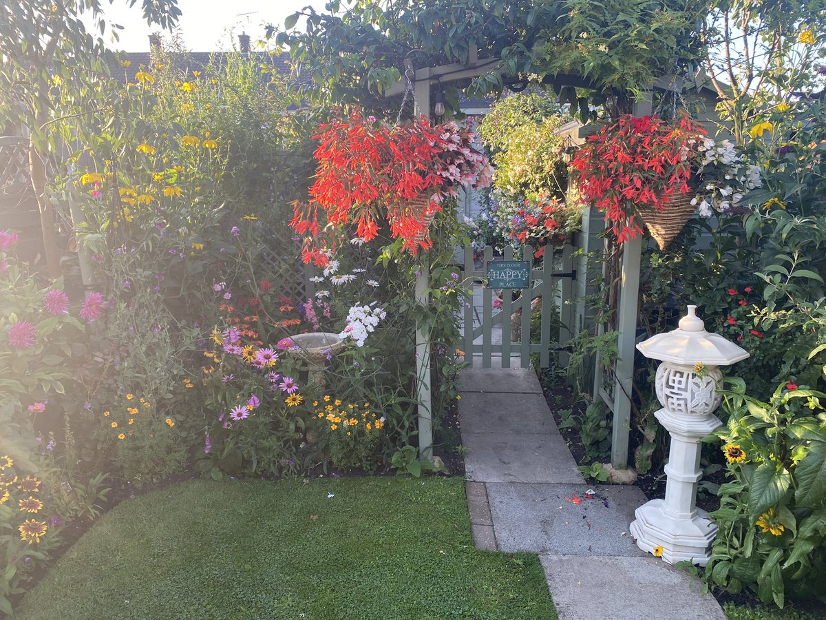 🌱Des Clark💙❤️🦅⚽️🏆🥾 tweet media