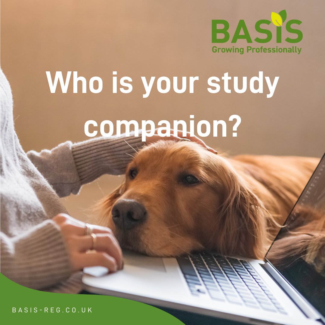 BASISRegLtd's tweet image. Are you studying for your BASIS Crop Protection or completing an online module on #BASISClassroom? 

We’d love to meet your study buddies! 🐶🐱🐟 Share your pet friends who help you through those study sessions. 📖🐾 #BASISCompanion #PetFriends #BASISLearning #OnlineLearning