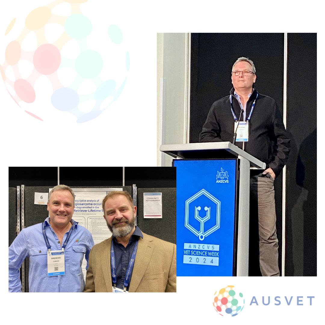 ausvetgroup's tweet photo. Some of the @ausvetgroup team attended the @anzcvs #VetScienceWeek24 presenting a variety of topics including #Environmental #AMR , #Disease outbreak preparedness, #MachineLearning and haemangiosarcoma occurrence in dogs, all while catching up with likeminded people. https://t.co/7P3XfZjWab