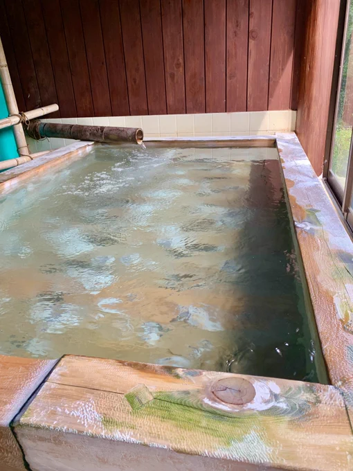 山の中の温泉に来ました だーれもいない…お湯が絵画のよう 