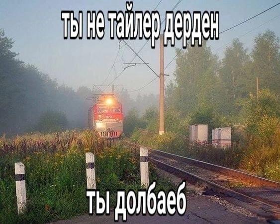 бимбо коза🇳🇴 tweet media