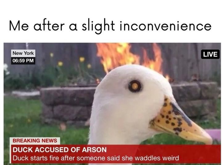 Satan (@s8n) on Twitter photo 