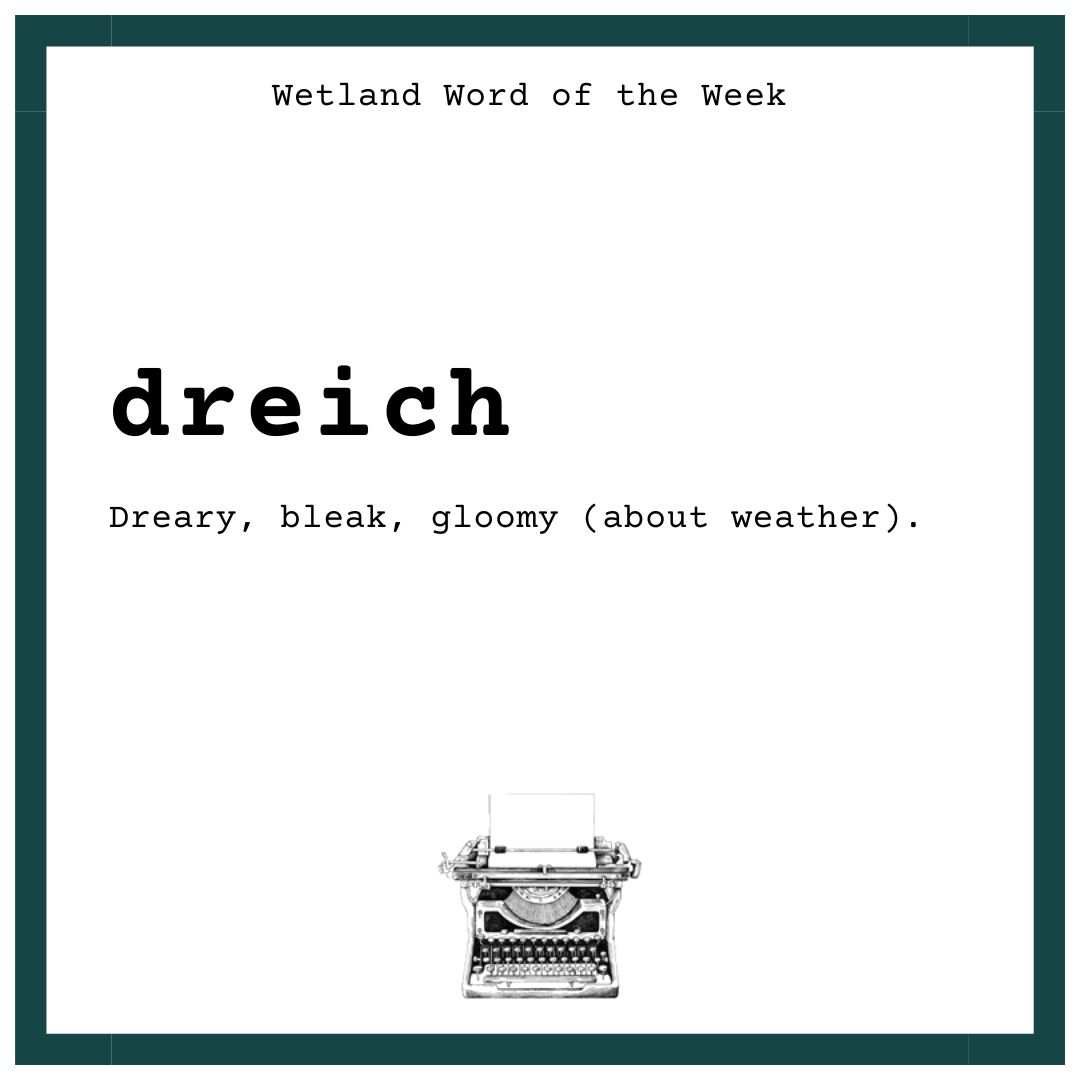 WWT Caerlaverock tweet media